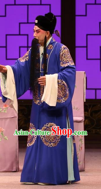 Full Bed Wat Chinese Kun Opera Elderly Male Li Bai Costumes and Headwear Kunqu Opera Laosheng Garment Apparels Official Embroidered Robe