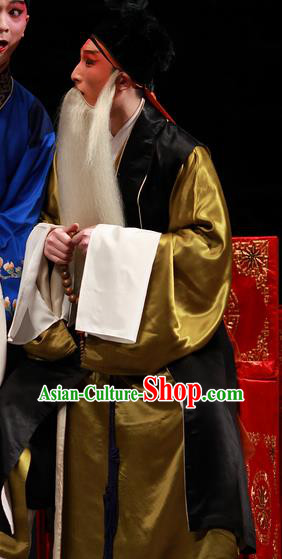 Xiu Ru Ji Chinese Kun Opera Laosheng Costumes and Headwear Kunqu Opera Elderly Male Garment Old Man Apparels