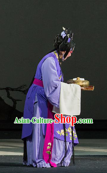 Chinese Kun Opera Woman Purple Dress Apparels Costumes and Hair Accessories Continue the Pipa Traditional Kunqu Opera Young Lady Garment