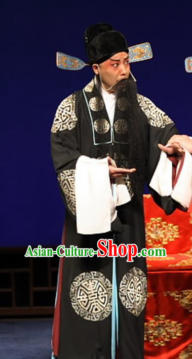 Feng Zheng Wu Chinese Kun Opera Laosheng Apparels Costumes and Headwear Kunqu Opera Elderly Male Qi Buchen Garment Clothing