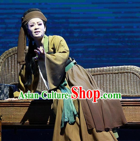 Chinese Huangmei Opera Elderly Woman Costumes Apparels and Headpieces Chuan Deng Traditional Anhui Opera Laodan Dress Garment