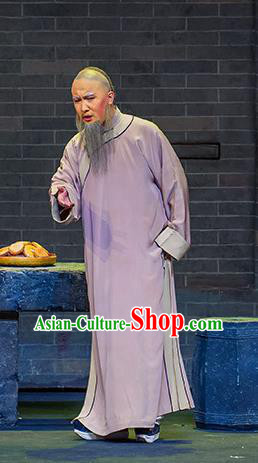 Chinese Huangmei Opera Old Man Zhang Tingyu Da Qing Prime Minister Apparels Costumes and Headwear Kunqu Opera Laosheng Garment Clothing