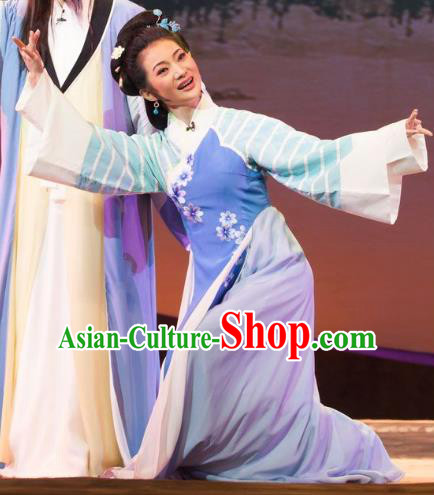 Chinese Huangmei Opera Young Female Garment Costumes and Headpieces Li Shizhen Traditional Anhui Opera Blue Dress Apparels