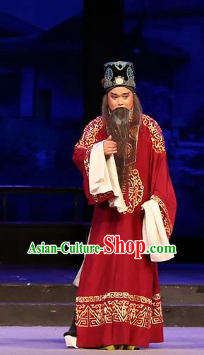 Chinese Huangmei Opera Elderly Man Female Consort Prince Garment Costumes and Headwear An Hui Opera Apparels Chancellor Liu Wenju Clothing