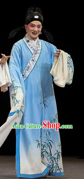 Luo Pa Ji Chinese Huangmei Opera Scholar Wang Keju Costumes and Headwear An Hui Opera Apparels Young Male Clothing