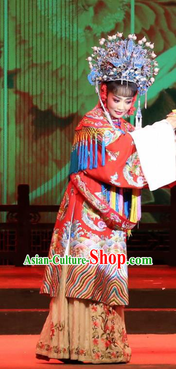 Chinese Huangmei Opera Royal Princess Garment Costumes and Headdress Female Consort Prince Traditional Anhui Opera Hua Tan Dress Apparels