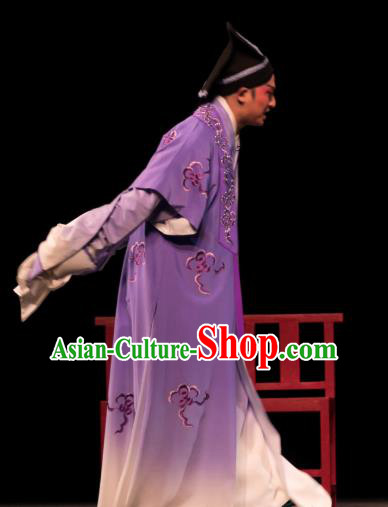 Luo Pa Ji Chinese Huangmei Opera Young Man Purple Costumes and Headwear An Hui Opera Steward Jiang Xiong Apparels Clothing