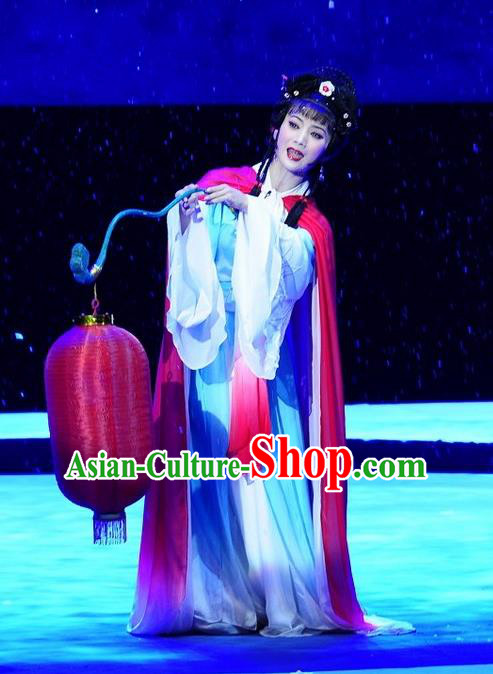 Chinese Huangmei Opera Hua Tan Garment Costumes and Headpieces Su Dongpo Traditional Anhui Opera Actress Dress Diva Apparels