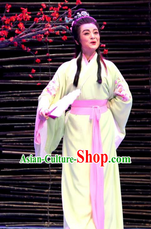 Chinese Huangmei Opera Niche Young Male Costumes and Headwear An Hui Opera Poet Su Dongpo Apparels Scholar Clothing