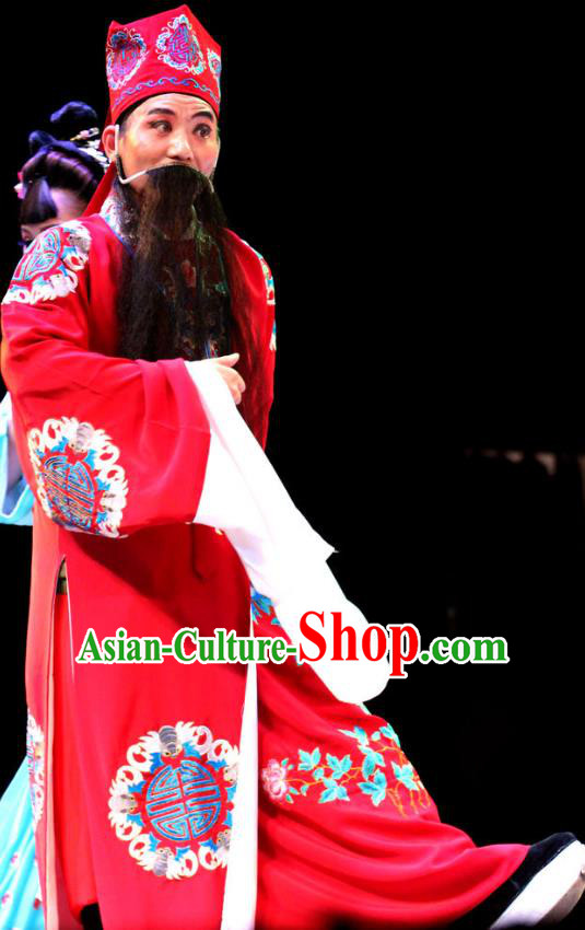 True and False Groom Chinese Huangmei Opera Ministry Councillor Costumes and Headwear An Hui Opera Laosheng Landlord Apparels Clothing