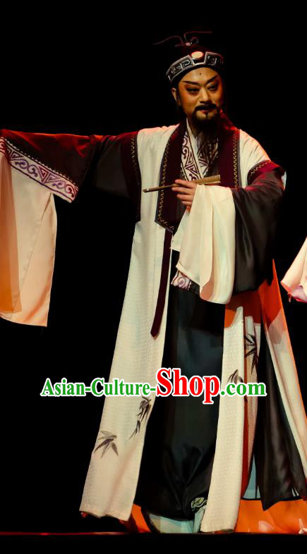 Chinese Huangmei Opera Old Man Ji Mo Han Qing Official Garment Costumes and Headwear An Hui Opera Scholat Guan Hanqing Apparels Clothing