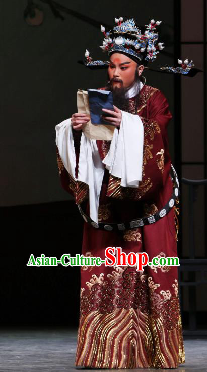 Chinese Classical Shaoxing Opera The Jade Hairpin Elderly Male Costumes Garment Yue Opera Apparels Python Embroidered Robe and Headwear