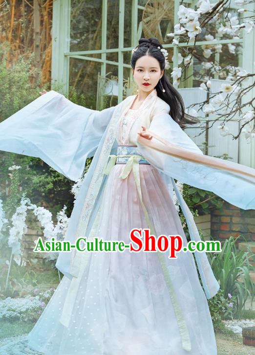 Chinese Traditional Tang Dynasty Hanfu Dress Ancient Noble Lady Apparels Historical Costumes for Women