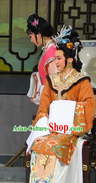 Chinese Shaoxing Opera Dream of the Red Chamber Elderly Female Dress Yue Opera Actress Costumes Dame Wang Garment Apparels and Hair Ornaments