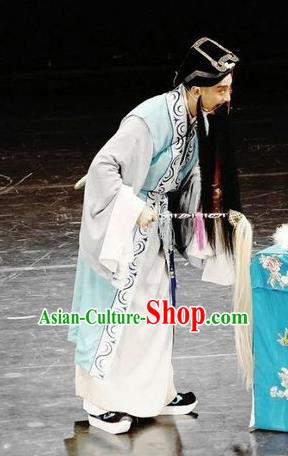 Chinese Huangmei Opera Taoist Lv Dongbin Costumes and Headwear Xi Mu Dan An Hui Opera Laosheng Apparels Elderly Male Clothing