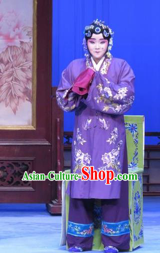 Chinese Ping Opera Zhu Hen Ji Ugly Woman Apparels Costumes and Headdress Traditional Pingju Opera Dress Garment