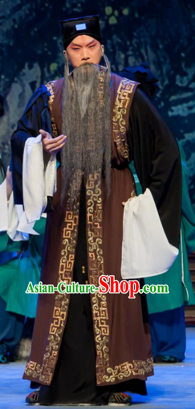 Chinese Ping Opera Old Man Bao Gong San Kan Butterfly Dream Costumes and Headwear Pingju Opera Laosheng Apparels Clothing