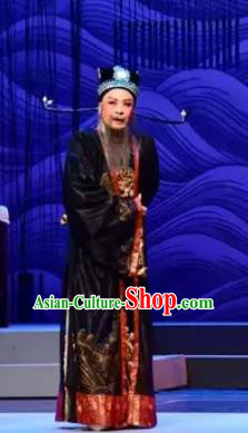 Chinese Yue Opera Prime Minister Apparels The Story of Hairpin Garment Shaoxing Opera Elderly Male Costumes and Hat Complete Set