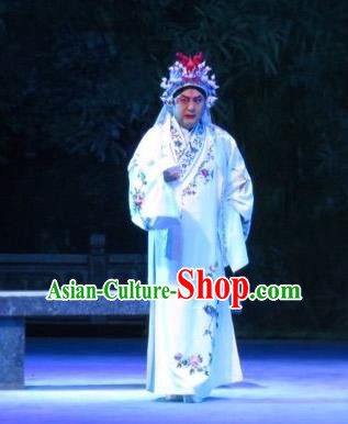 Xie Yaohuan Chinese Ping Opera Man Role Costumes and Headwear Pingju Opera Wu Hong Apparels Clothing