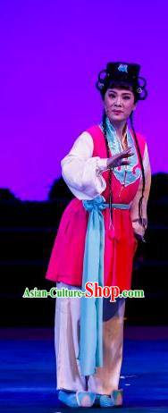 Chinese Ping Opera Young Lady Apparels Costumes and Headdress The Sword of Zhong Li Traditional Pingju Opera Swordswoman Su Nv Dress Garment