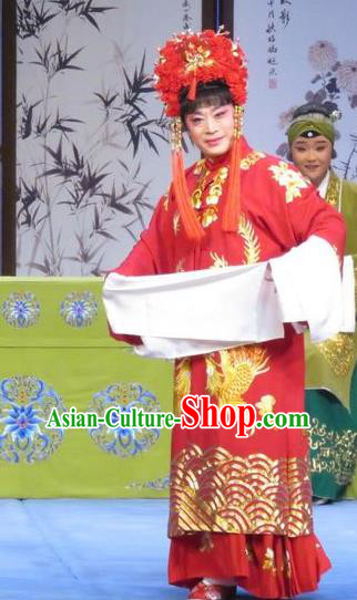 Chinese Ping Opera Bride Apparels Costumes and Headdress Yuan Yang Pu Traditional Pingju Opera Sun Run Red Dress Garment