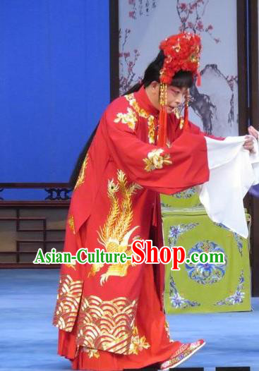 Chinese Ping Opera Bride Apparels Costumes and Headdress Yuan Yang Pu Traditional Pingju Opera Sun Run Red Dress Garment