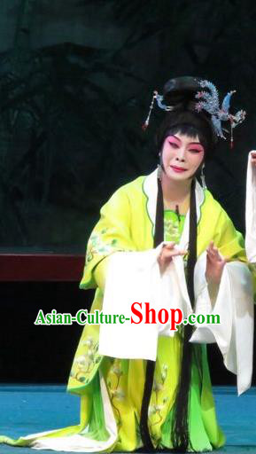 Chinese Ping Opera Hua Tan Shuang Tao Apparels Costumes and Headpieces The Five Female Worshipers Traditional Pingju Opera Diva Dress Garment