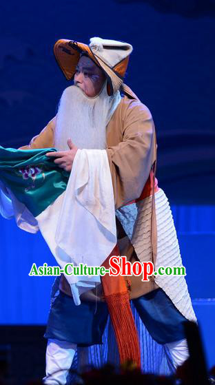 Remember Back to the Cup Chinese Ping Opera Elderly Man Costumes and Headwear Pingju Opera Laosheng Apparels Boatman Clothing