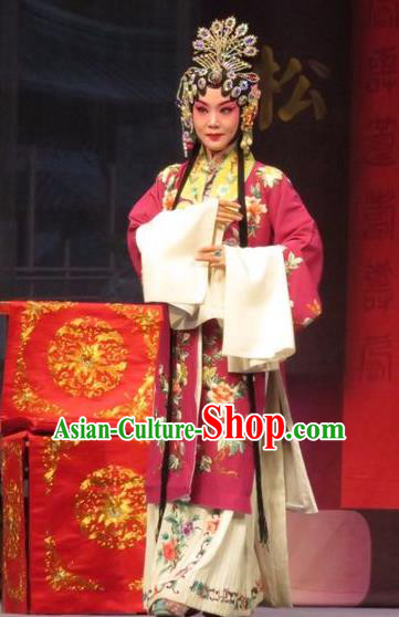 Chinese Ping Opera Remember Back to the Cup Apparels Costumes and Headpieces Traditional Pingju Opera Hua Tan Dress Garment