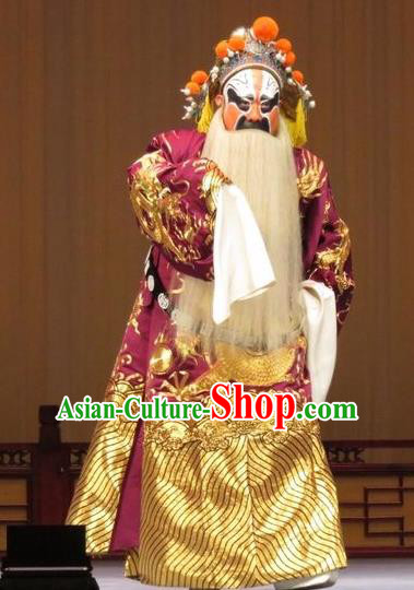 The Arrogant Princess Chinese Ping Opera Laosheng Costumes and Headwear Pingju Opera Elderly Male Guo Ziyi Apparels Clothing