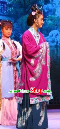 Chinese Ping Opera Noble Countess Apparels Costumes and Headpieces Baoyu and Daiyu Traditional Pingju Opera Middle Age Dame Dress Garment