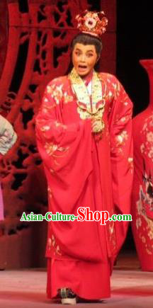 Baoyu and Daiyu Chinese Ping Opera Wedding Costumes and Headwear Pingju Opera Young Male Rich Childe Jia Baoyu Apparels Clothing