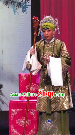 Chinese Ping Opera Old Dame Costumes Apparels and Headpieces Yang Bajie You Chun Traditional Pingju Opera Pantaloon She Saihua Dress Garment