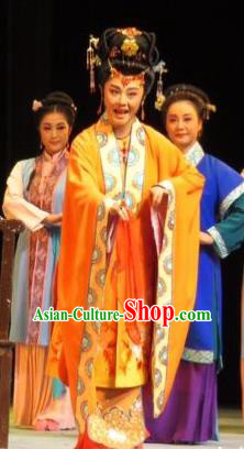 Chinese Ping Opera Young Mistress Wang Xifeng Apparels Costumes and Headpieces Baoyu and Daiyu Traditional Pingju Opera Diva Dress Garment