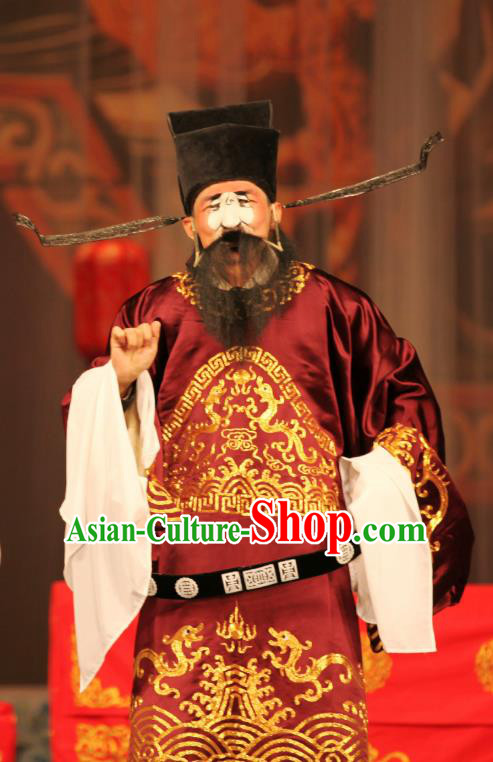 Ma Zhaoyi Chinese Ping Opera Minister Fei Wuji Costumes and Headwear Pingju Opera Official Apparels Clothing