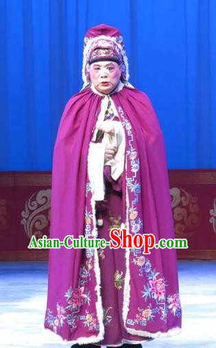 The Beautiful Courtesan Chinese Ping Opera Sun Fu Costumes and Headwear Pingju Opera Merchant Apparels Clothing