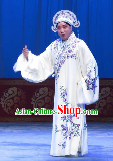 The Beautiful Courtesan Chinese Ping Opera Xiaosheng Costumes and Headwear Pingju Opera Young Male Apparels Scholar Li Jia Clothing