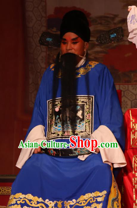 Chinese Yue Opera Costumes Official Embroidered Robe and Hat Shaoxing Opera Lao Sheng Apparels A Tragic Marriage Elderly Male Garment