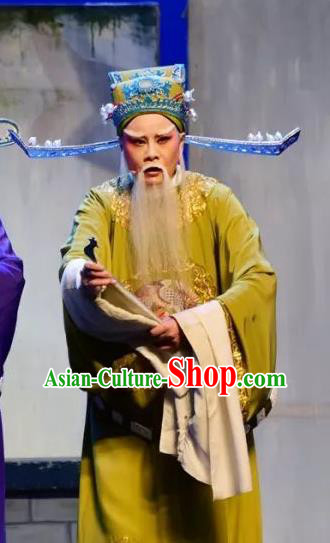 Chinese Yue Opera Elderly Male Minister Costumes and Hat Shaoxing Opera Yan Zhi Apparels Garment Official Shi Yushan Embroidered Robe Vestment