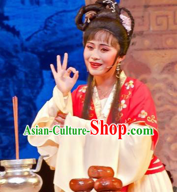 Chinese Shaoxing Opera Young Female Role Apparels Flirting Scholar Xiao Dan Costumes Yue Opera Qiu Xiang Dress Maidservant Garment and Hair Jewelry