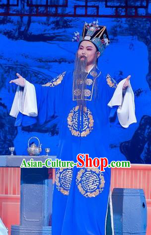 Chinese Yue Opera Imperial Tutor Hua Costumes Flirting Scholar Garment Shaoxing Opera Laosheng Elderly Male Robe Apparels and Headwear
