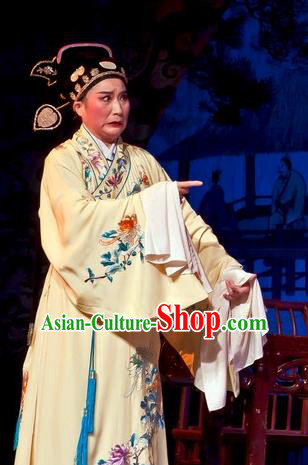 Chinese Yue Opera Calligrapher Zhu Zhishan Costumes Flirting Scholar Garment Shaoxing Opera Xiaosheng Young Male Robe Apparels and Hat