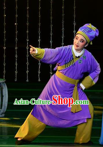 Chinese Yue Opera Servant Costumes and Hat Shaoxing Opera Dong Xiaowan And Mao Bijiang Apparels Livehand Purple Garment