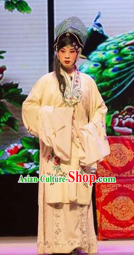 Chinese Shaoxing Opera Evil Female Apparels and Headwear Yue Opera Tell On Sargam Dress Actress Costumes Zhang Mingzhu Garment