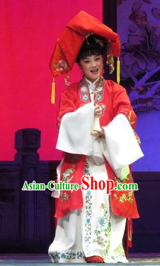 Chinese Shaoxing Opera Bride Apparels and Headdress Yue Opera Tell On Sargam Garment Costumes Young Female Red Dress