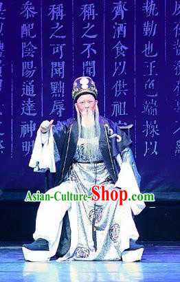 Chinese Yue Opera Old Man Costumes and Headwear Han Xing Wei Yang Shaoxing Opera Garment Han Dynasty Elderly Male Clothing Apparels