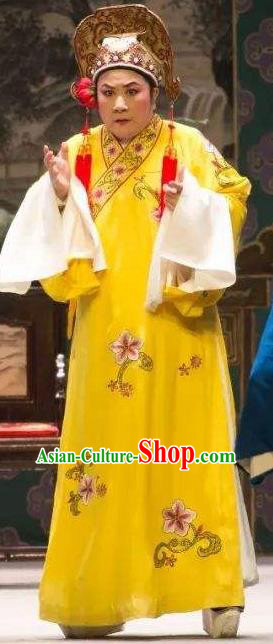 Chinese Yue Opera Bully Wang Laohu Costumes and Hat A Bride For A Ride Shaoxing Opera Clothing Xiaosheng Young Male Apparels Garment