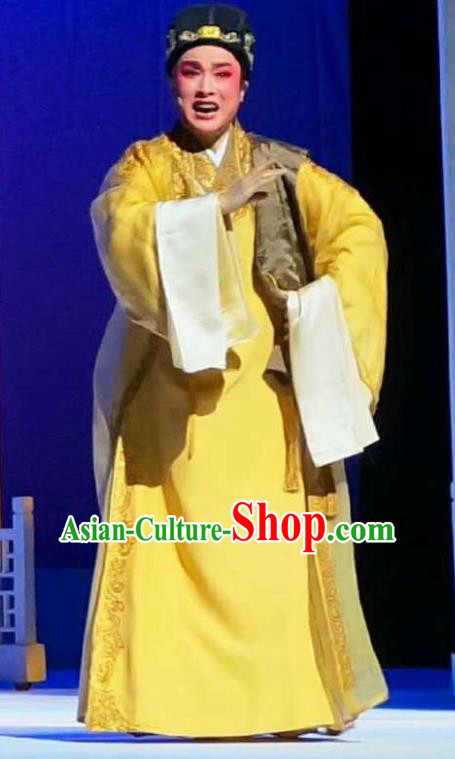 Chinese Yue Opera Young Male Apparels Xiang Luo Ji Costumes and Hat Shaoxing Opera Merchant Clothing Chang Wangcai Garment