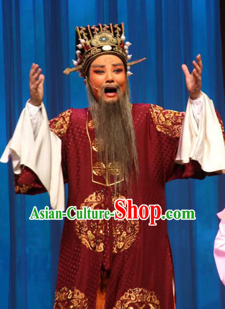 Chinese Yue Opera Elderly Male Apparels San Kan Yu Mei Costumes and Hat Shaoxing Opera Laosheng Garment Landlord Robe