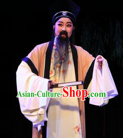 Lions Roar Chinese Yue Opera Elderly Male Costumes and Hat Shaoxing Opera Laosheng Poet Su Dongpo Garment Apparels